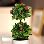 Central Inn Apartments Sarajevo Apartman *