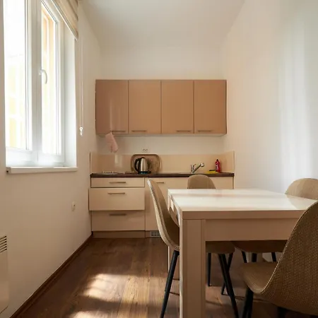 Central Inn Apartments Sarajevo 塞拉耶佛
